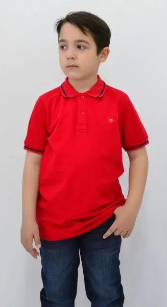მაისური