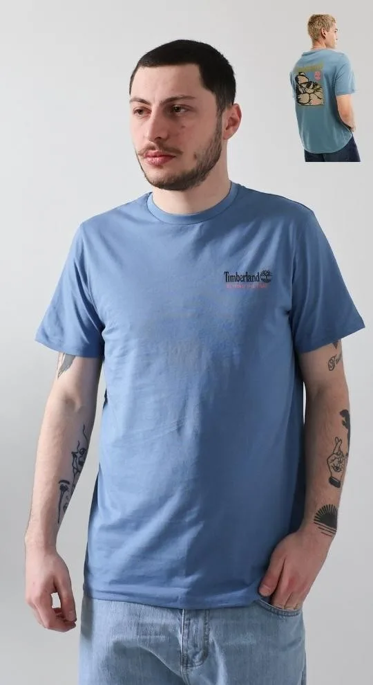 მაისური